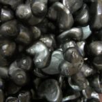 Matthijs Drop Tieten