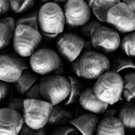 Matthijs Honing noppen drop